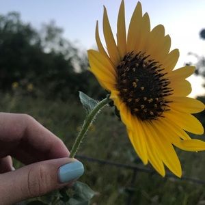 Meet your Posher, Gracie